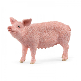 Pig   Schleich 13933