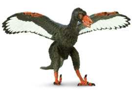 Archeopteryx