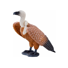 Vale gier  Mojö 381099   juni 2025