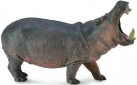 Hippopotamus CollectA 88833