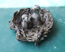 Bird of prey  nest