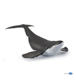 Humpback  Whale Calf    Papo 56035