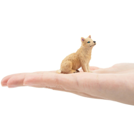 Wolf  pool-  arctic  welp  Toymany