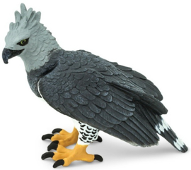 Harpy Eagle   S150929