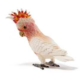 Major Mitchell's Cockatoo