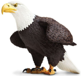 Bald Eagle  SafariLtd  S251029