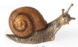 Snail