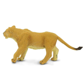 Lioness  S290329