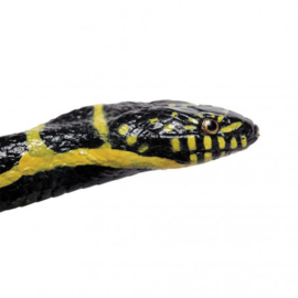 Chain Kingsnake S 257929