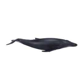 Humpback whale   Mojo 387119