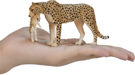 Cheetah met jong  Mojo 387167