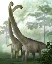 Mamenchisaurus  "deluxe" CollectA 88908