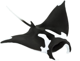 Manta Ray   S100096