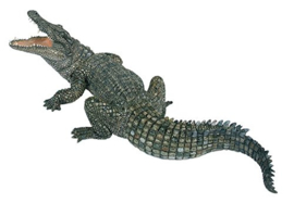 Crocodile  Papo 50055