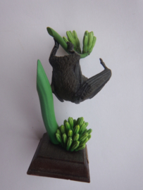 Bonin Vliegende hond  Kitan Club