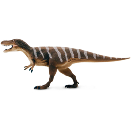 Nanotyrannus  S101044