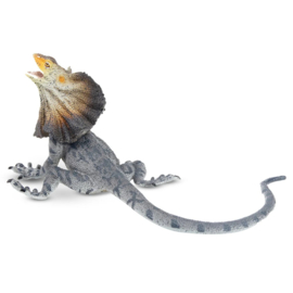 Frilled Lizard Toymany