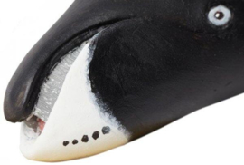 Bowhead Whale  S205529