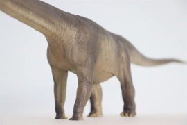 Er-Ma The Mamenchisaurus PNSO  1:45