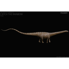 Female Diplodocus carnegii "Catch the Rainbow"