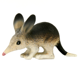 Bilby  75370