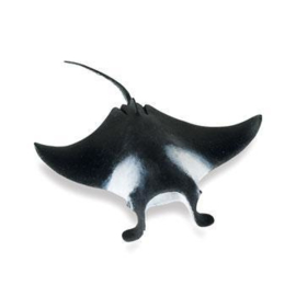 Manta Ray   S277729