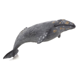 Grey whale  Mojo 387280