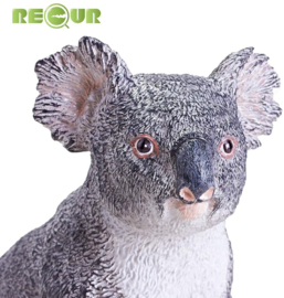 Koala XXL Recur