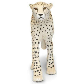 Cheetah   XXL   S112889