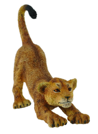Lion cub CollectA 88416