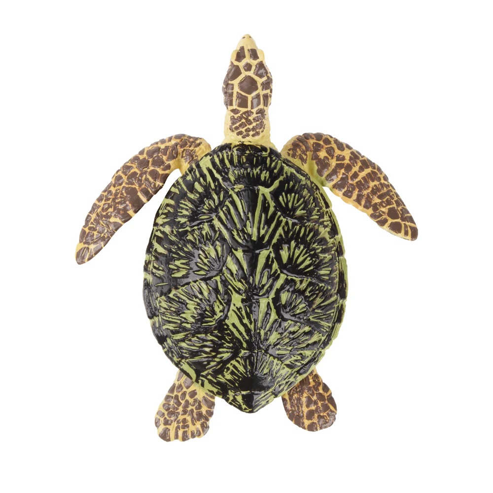 Green Sea Turtle Toymany