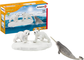 Polar set Schleich 42531