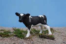 Holstein Friesian calf Schleich 13798