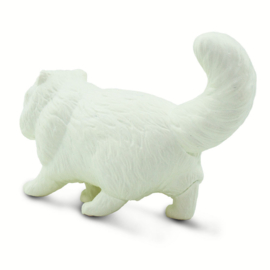 Persische kat S100203
