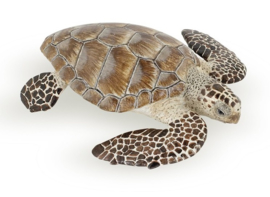 Loggerhead turtle   Papo 56005