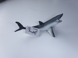 Mako shark