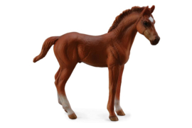 Thoroughbred Foal XL CollectA 88671