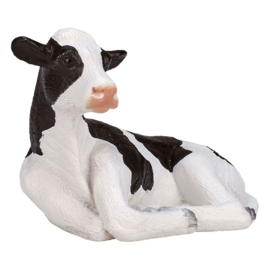 Holstein calf   Mojo 387082