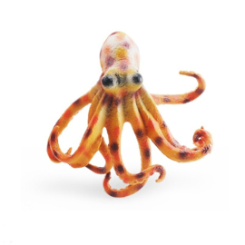 Octopus  orange