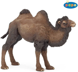 Camel Papo 50129