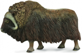 Musk Ox CollectA 88837