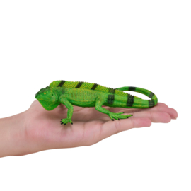 Iguana  Mojo 381095