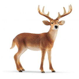 White-tailed deer buck Schleich 14818