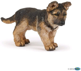 German shepherd pup Papo 54039