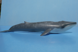 Blue Whale    CollectA 88834