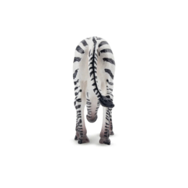 Zebra foal Toymany