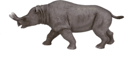 Brontotherium  Mojö 387155