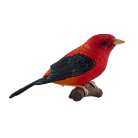 Zwartvleugeltangare  Mojo 381144