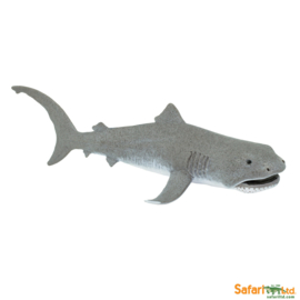 Megamouth shark      Reuzenbekhaai   S201029