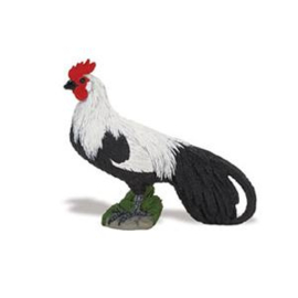 Phoenix  rooster S245029